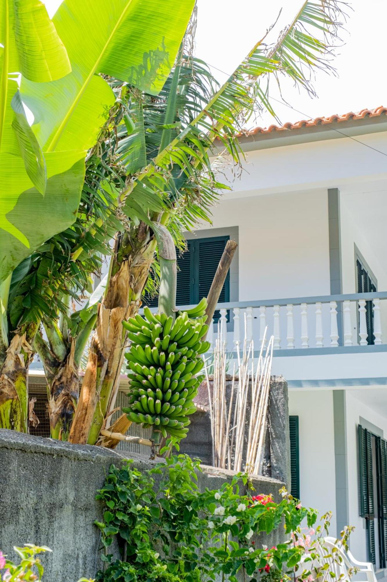 Sao Vicente Guest House Exteriör bild